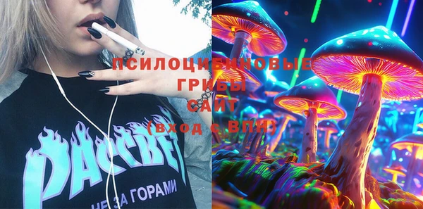 соль ск Алексин