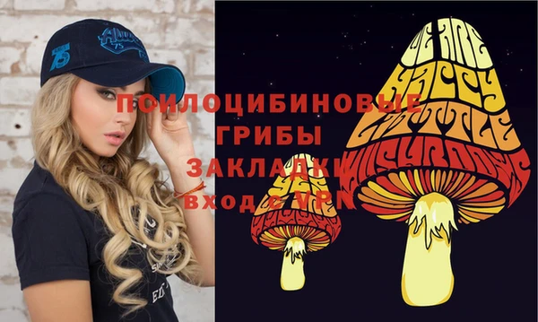 ПСИЛОЦИБИНОВЫЕ ГРИБЫ Алзамай