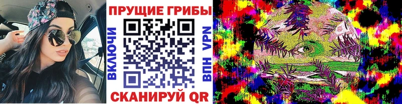 Галлюциногенные грибы Magic Shrooms кракен онион Чудово
